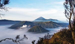 yogyakarta bromo ijen tour package - picture 1